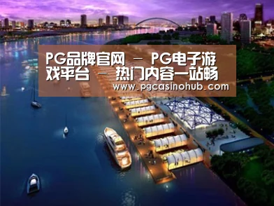 案例展示八