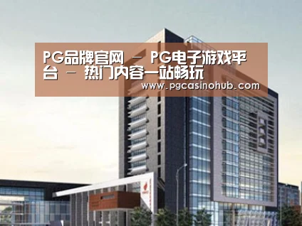案例展示七