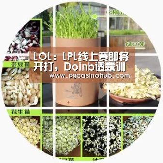 LOL:LPL线上赛即将开打,Doinb透露训练赛胜率!-PG游戏(图2) PG品牌