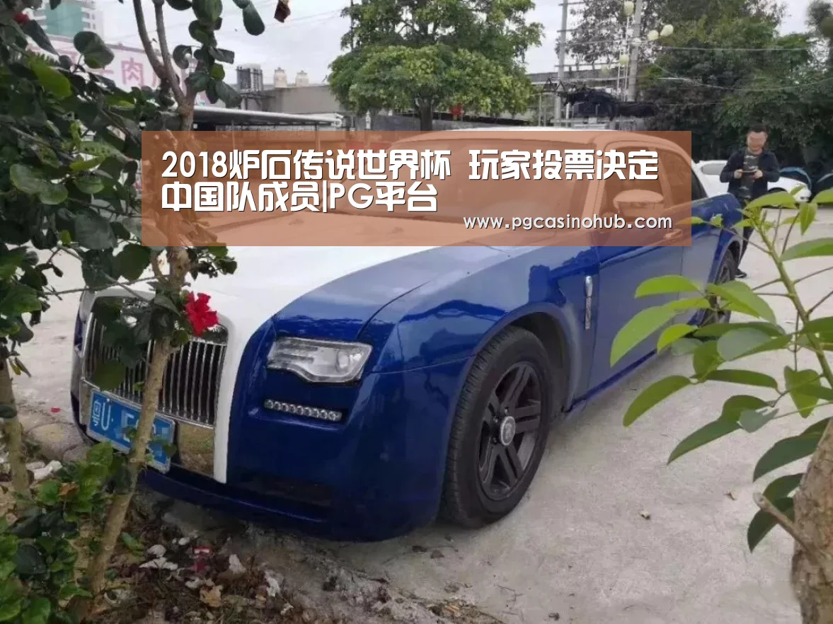 2018炉石传说世界杯 玩家投票决定中国队成员|PG平台(图1) PG品牌