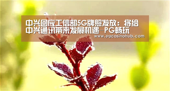 中兴回应工信部5G牌照发放:将给中兴通讯带来发展机遇-PG畅玩(图1) PG畅玩