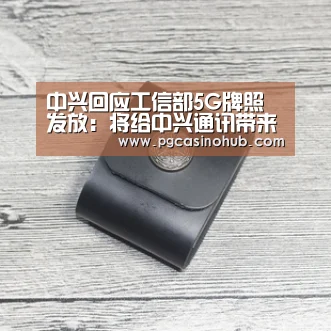 中兴回应工信部5G牌照发放:将给中兴通讯带来发展机遇-PG畅玩(图3) PG畅玩