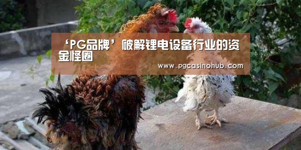 ‘PG品牌’破解锂电设备行业的资金怪圈(图1) PG畅玩